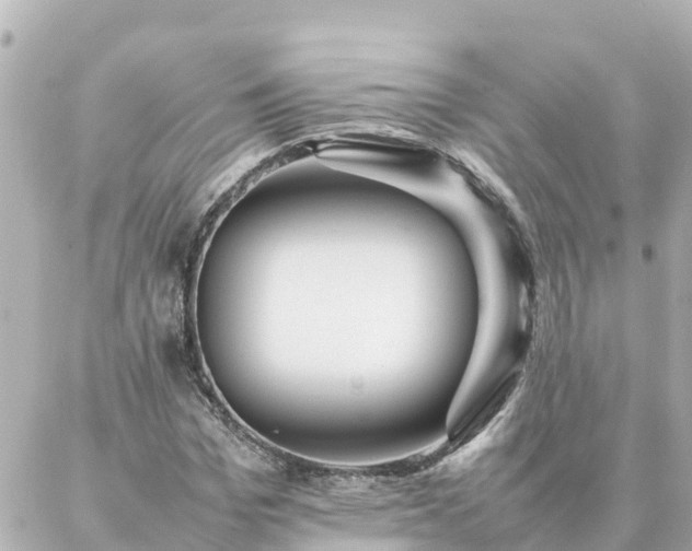 X0000086990969200704231841