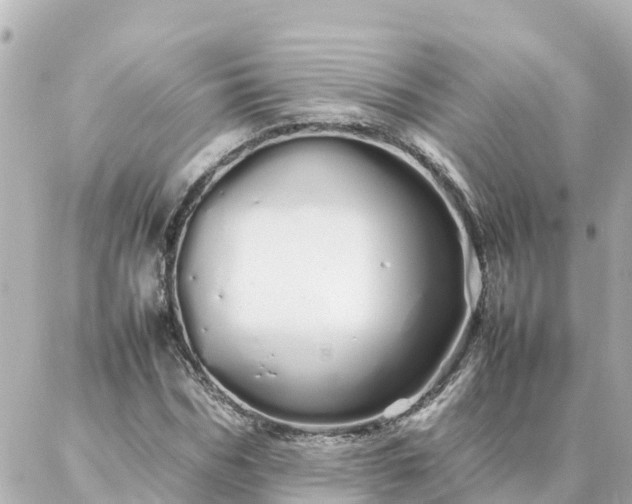 X0000086990970200704231841