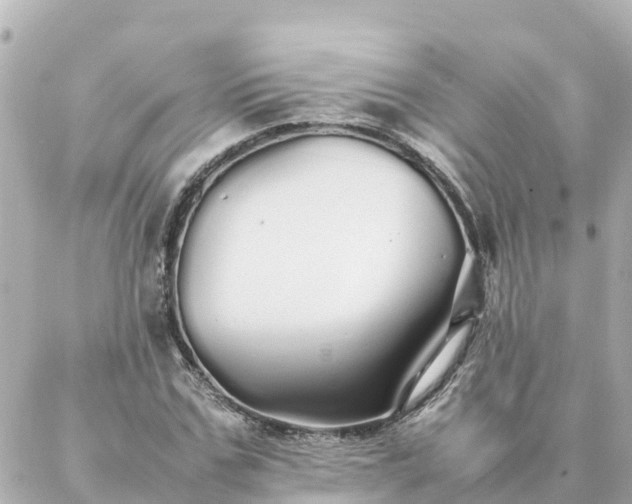 X0000086990971200704231841