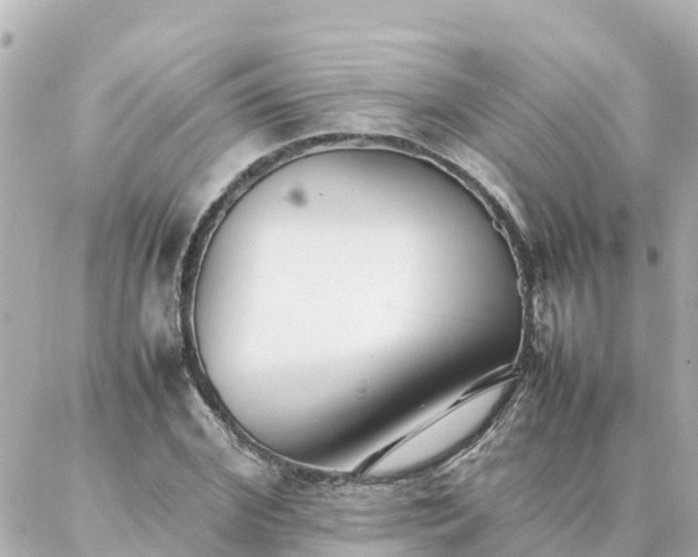 X0000086990972200704231841