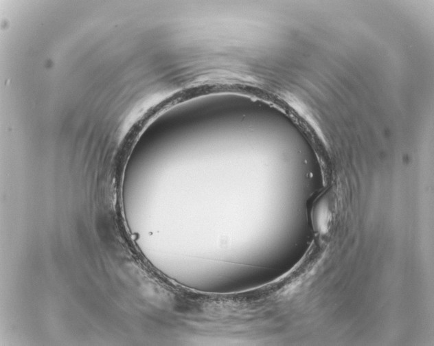 X0000086990973200704231841