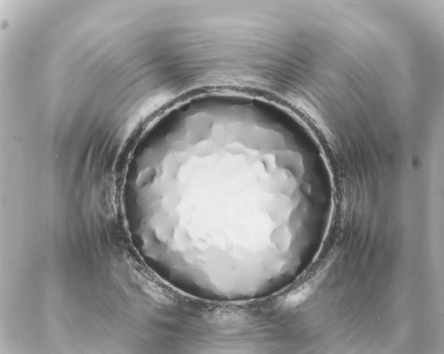 X0000086990974200704231841