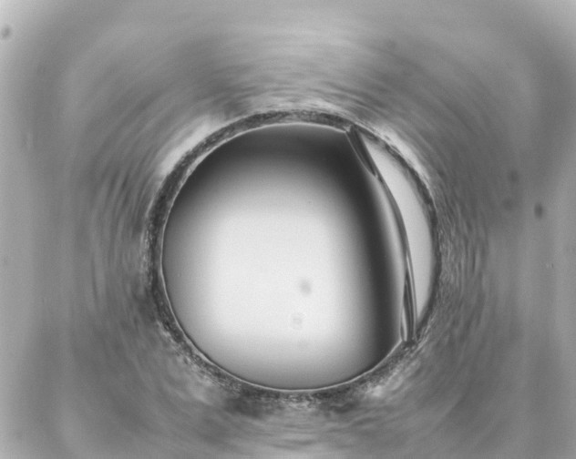 X0000086990975200704231841