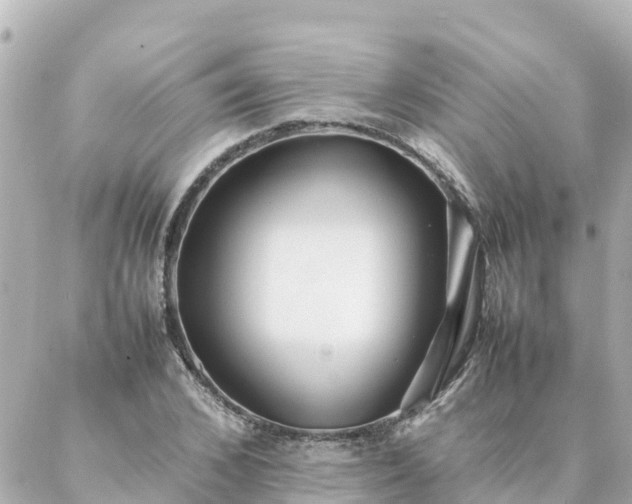 X0000086990976200704231841