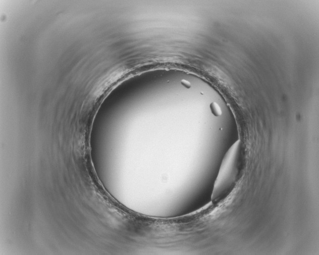 X0000086990977200704231841