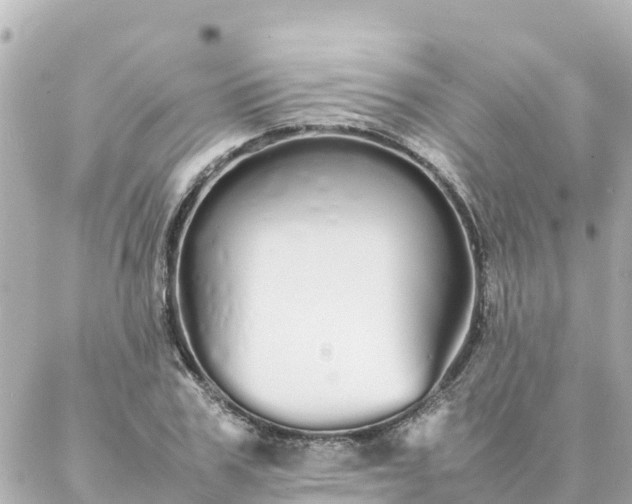 X0000086990979200704231840