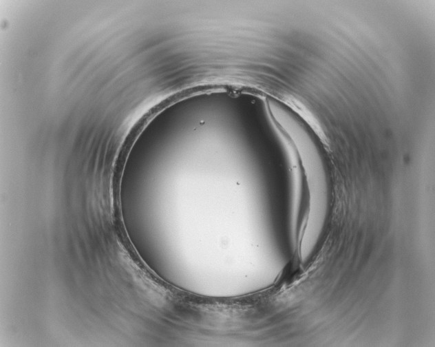 X0000086990980200704231840