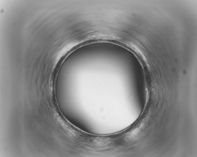 X0000086990981200704231840