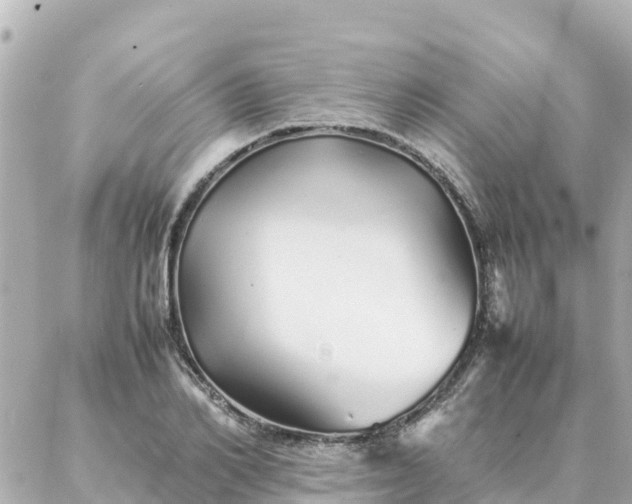 X0000086990982200704231840