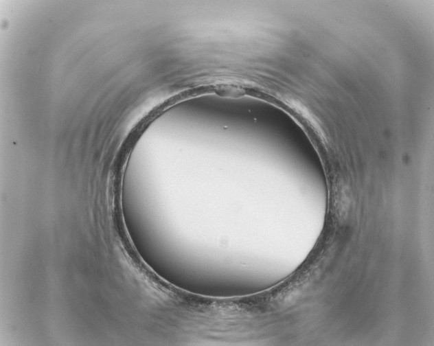 X0000086990983200704231840