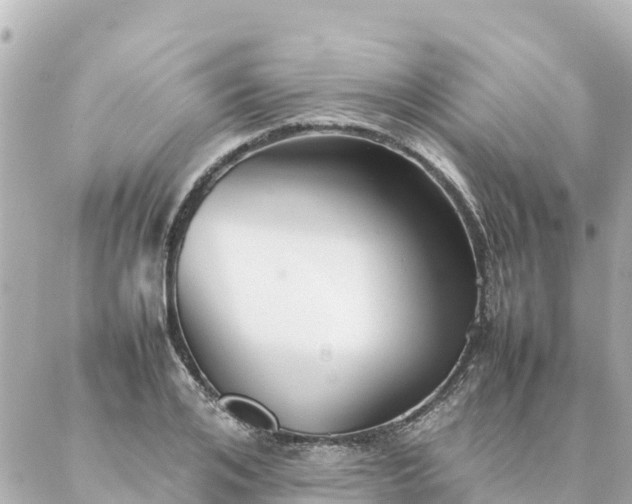 X0000086990984200704231840