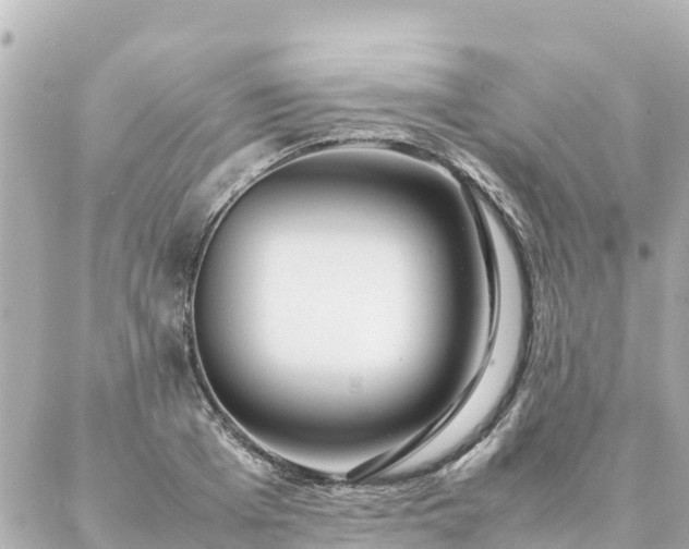 X0000086990985200704231840