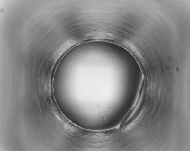 X0000086990986200704231840