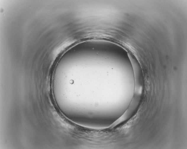 X0000086990987200704231840