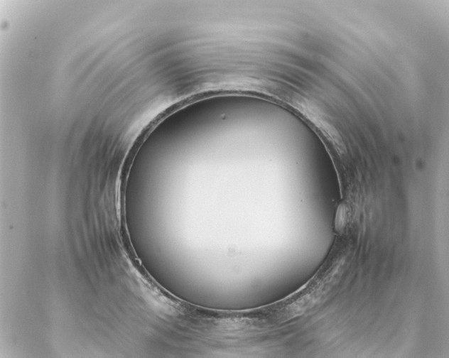 X0000086990988200704231840