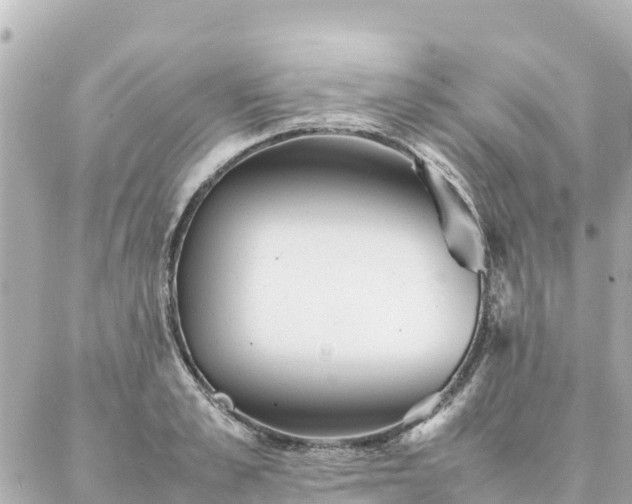 X0000086990989200704231840