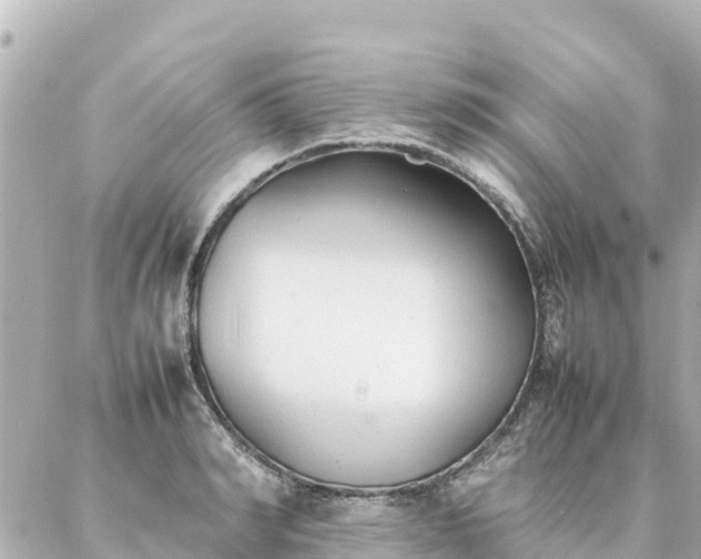 X0000086990990200704231840