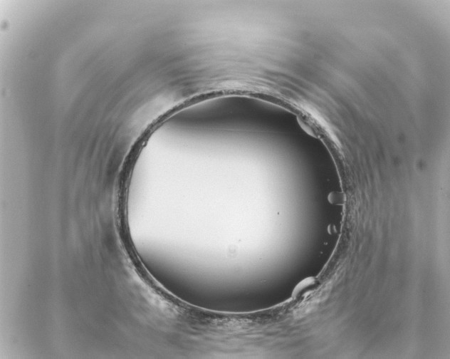 X0000086990991200704231840