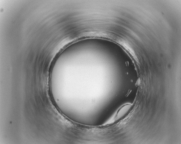 X0000086990992200704231840