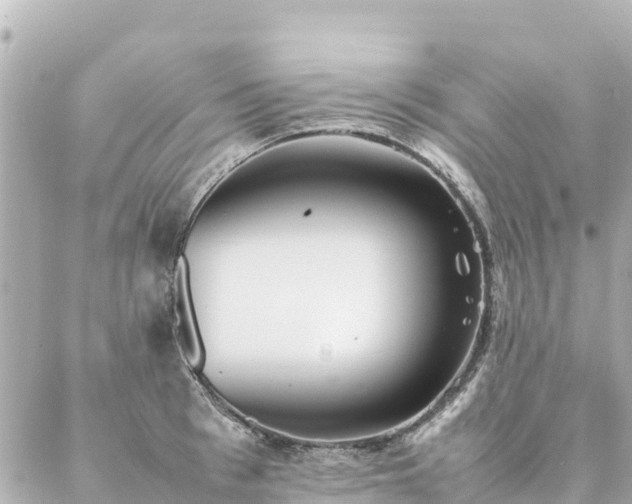 X0000086990993200704231840