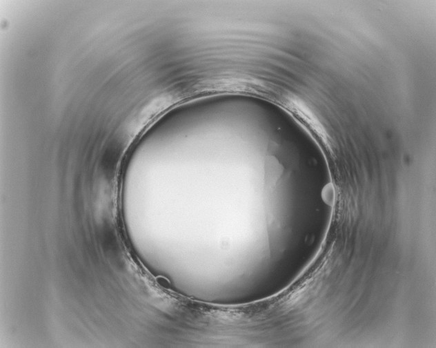 X0000086990994200704231840