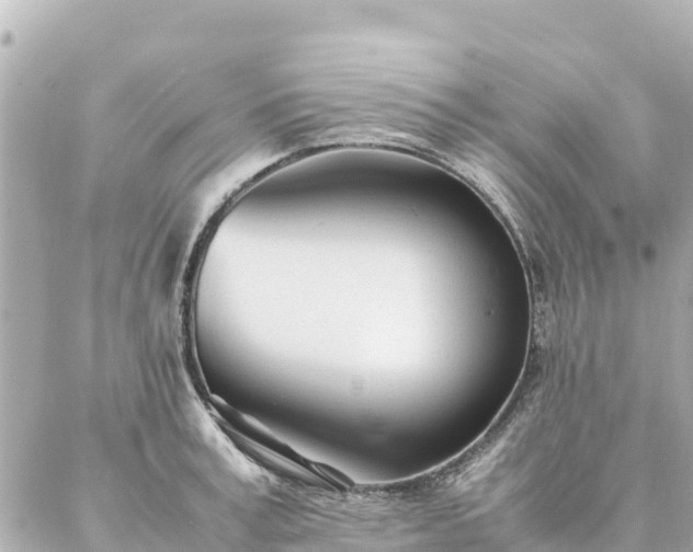 X0000086990995200704231840