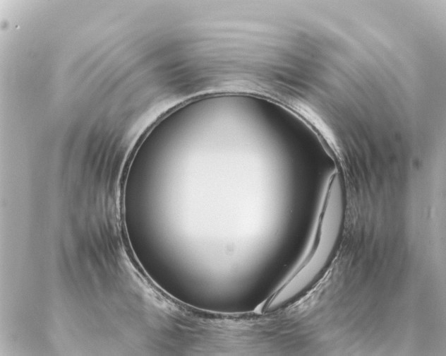 X0000086990996200704231840