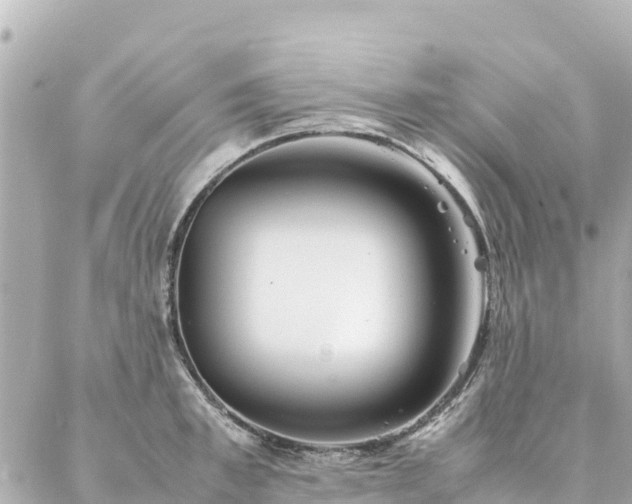 X0000086990997200704231840