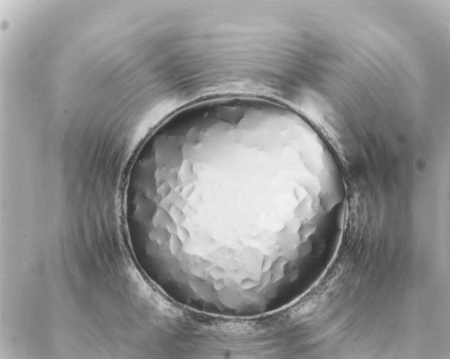 X0000086990998200704231840