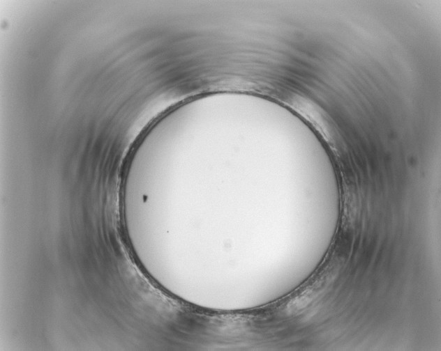 X0000086991000200704231840