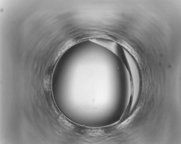 X0000086991001200704231840