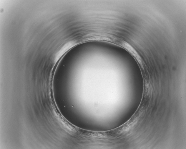 X0000086991002200704231840