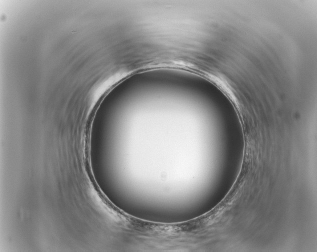 X0000086991003200704231840