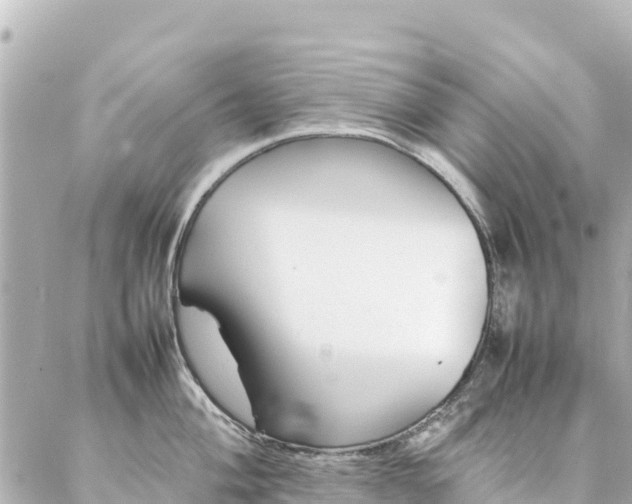 X0000086991004200704231840