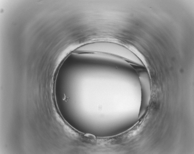 X0000086991005200704231840