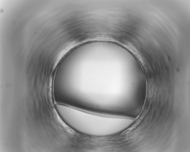 X0000086991006200704231840