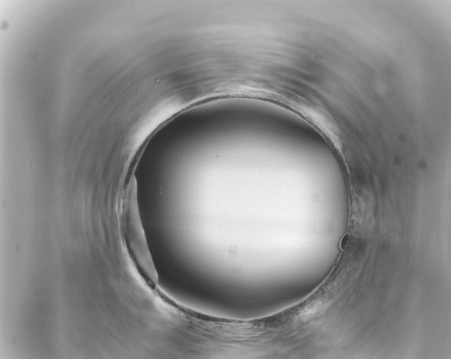 X0000086991007200704231840