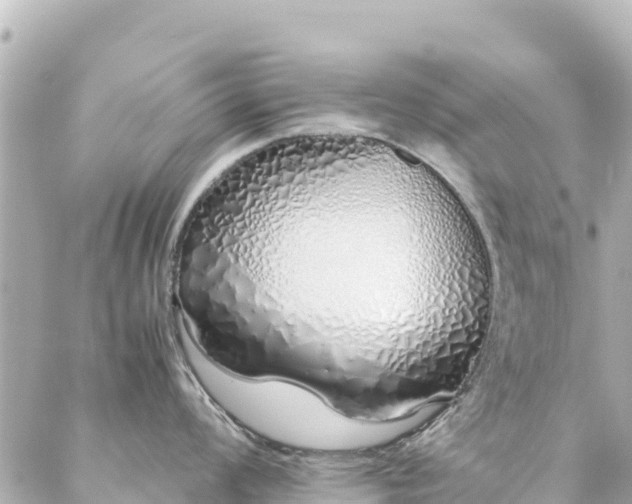 X0000086991008200704231840