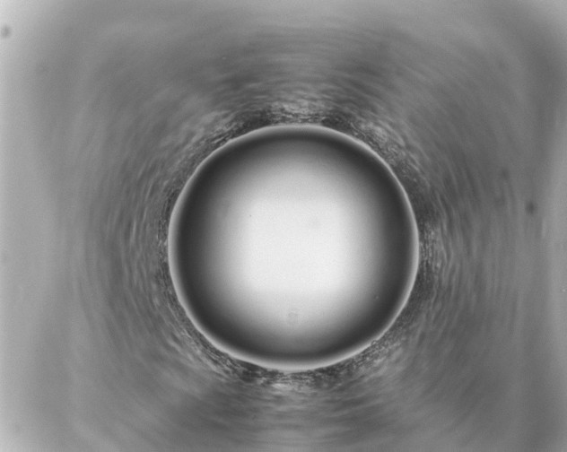 X0000086991009200704231839