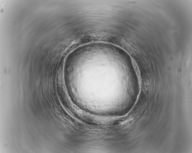 X0000086991010200704231839