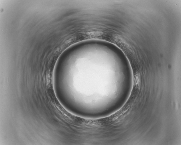 X0000086991011200704231839