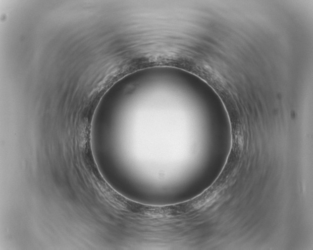 X0000086991012200704231839