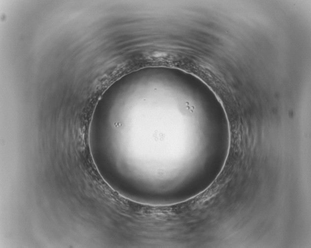 X0000086991013200704231839