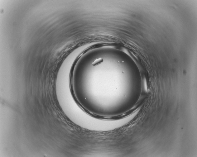 X0000086991014200704231839