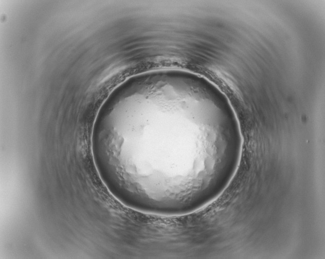 X0000086991015200704231839