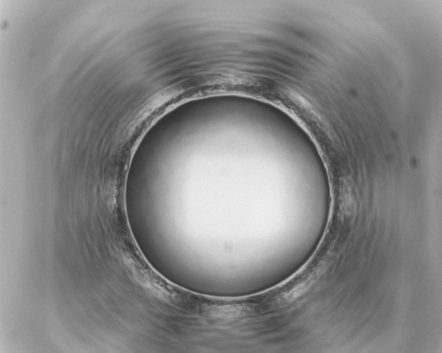 X0000086991017200704231839