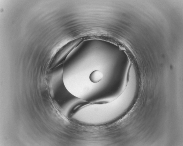 X0000086991018200704231839