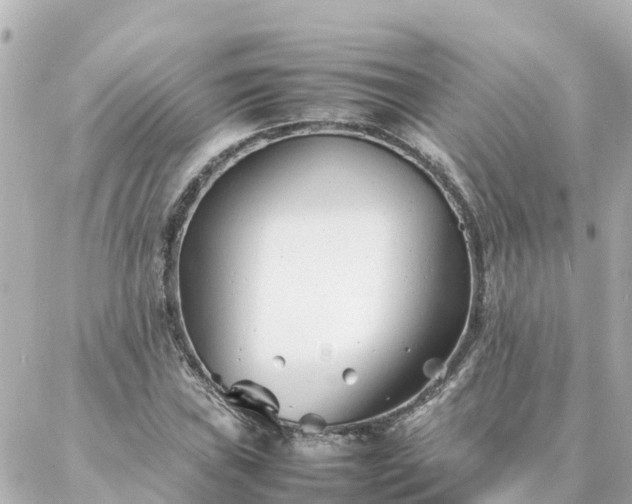 X0000086991019200704231839