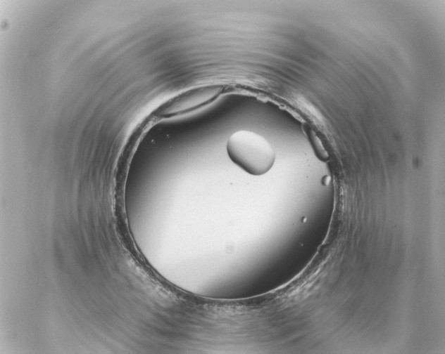 X0000086991020200704231839