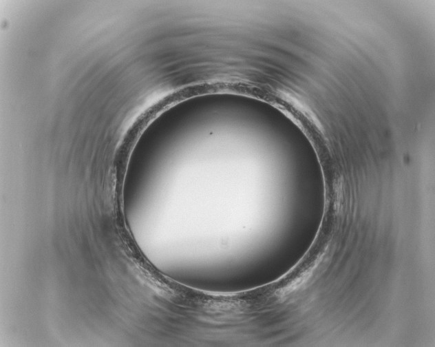 X0000086991021200704231839